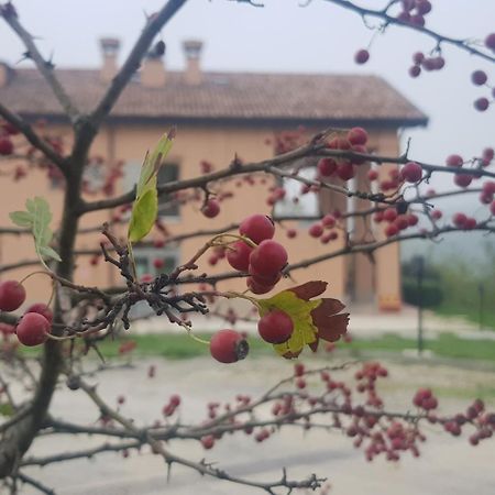 Villa Agriturismo Ben Ti Voglio à Bologne Extérieur photo