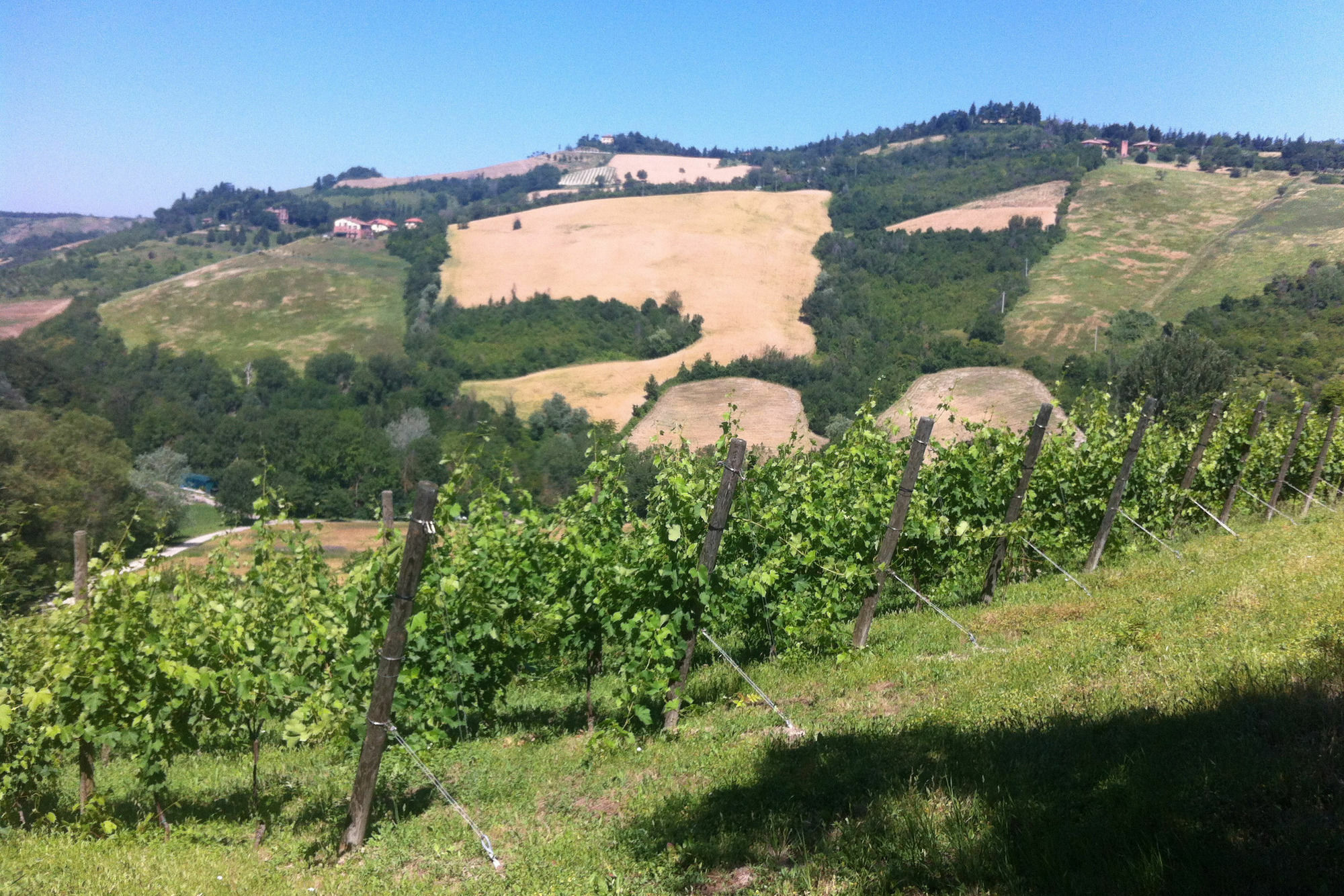 Villa Agriturismo Ben Ti Voglio à Bologne Extérieur photo